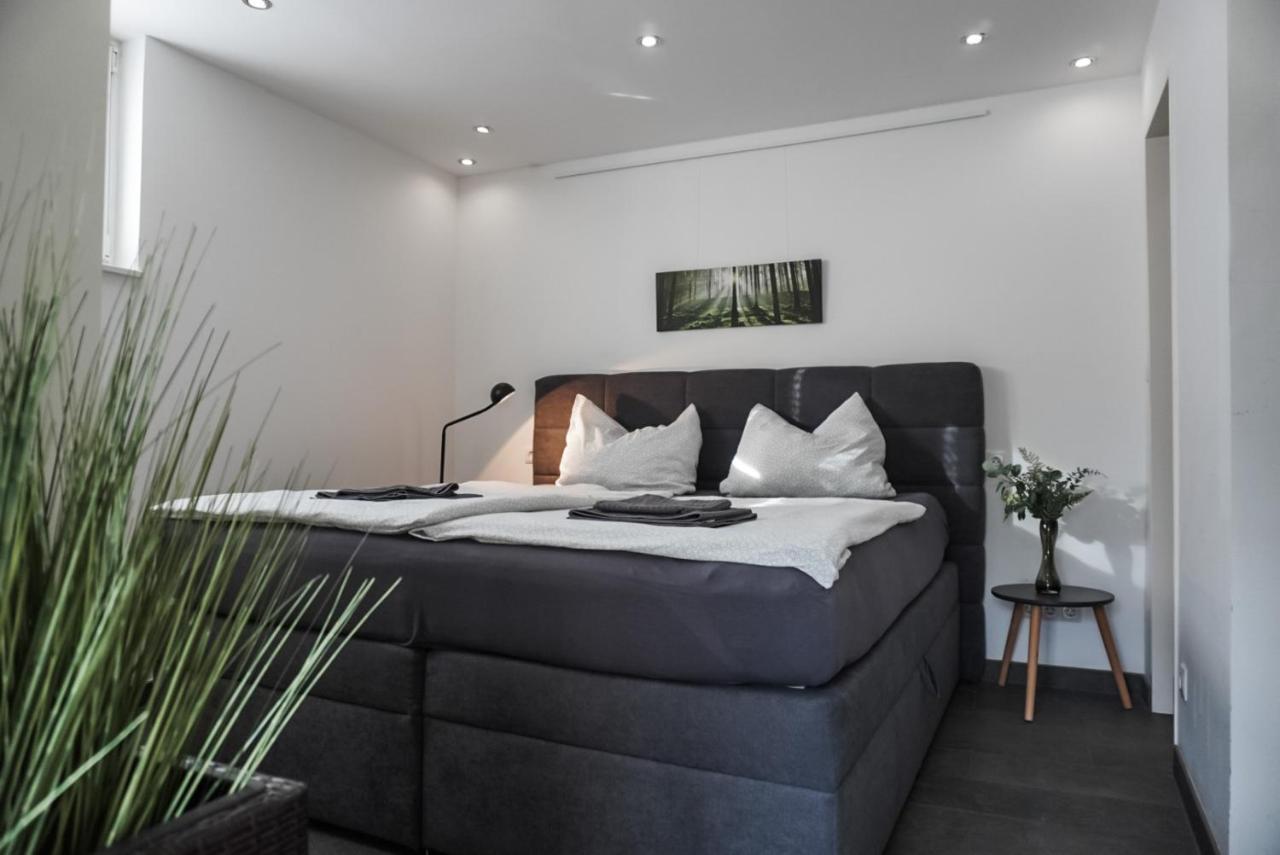 Neu gebautes Apartment mit Sonnenterasse in der Nähe vom Siebengebirge&Bonn Königswinter Exterior foto